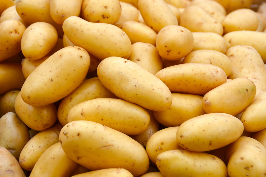 Pomme de terrre - Amandine
