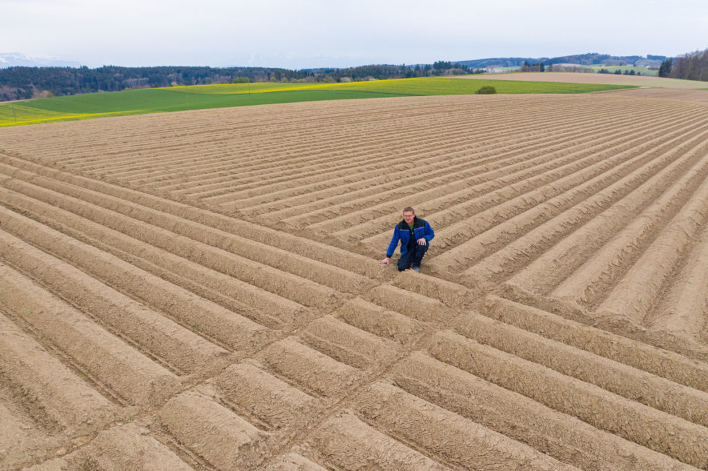 Champs Pommes de terre vue drone - producteurs